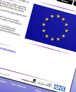 EU BCSP